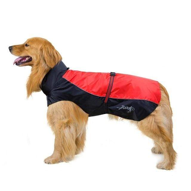 TAILUP Dog Vest  -  Cheap Surf Gear