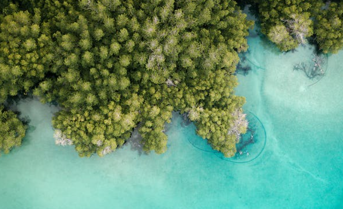 Top 5 Best Beach Resorts in Vietnam