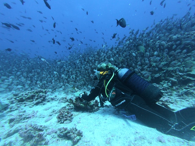 diver with diving knife