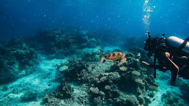 diving adventures