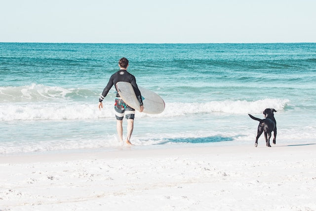 surfer and his dog