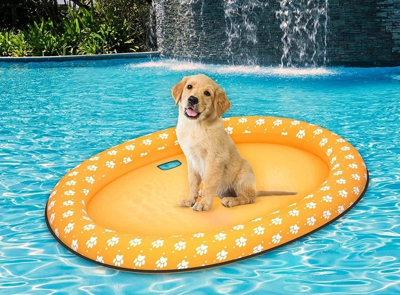 dog floatie