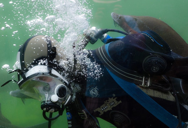 scuba tank with diver