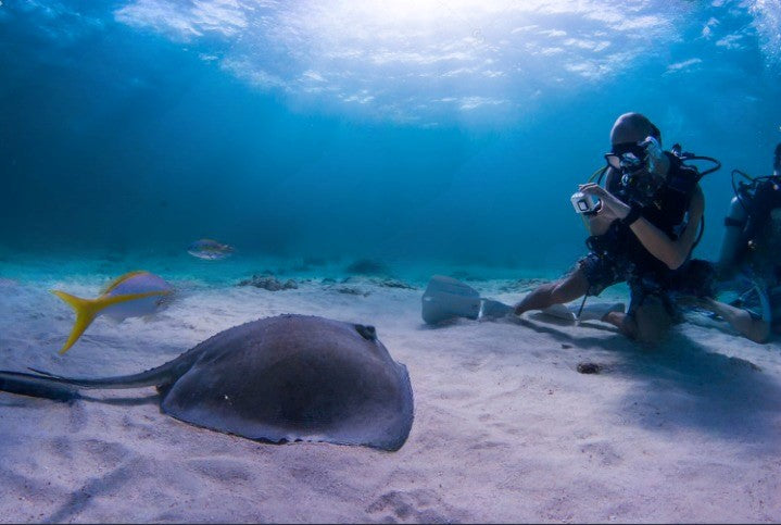 how to take underwater photos 