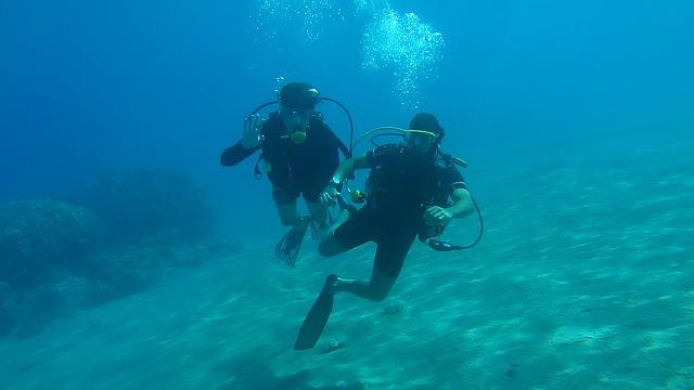 scuba divers