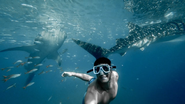 Why Do People Drown While Snorkeling?