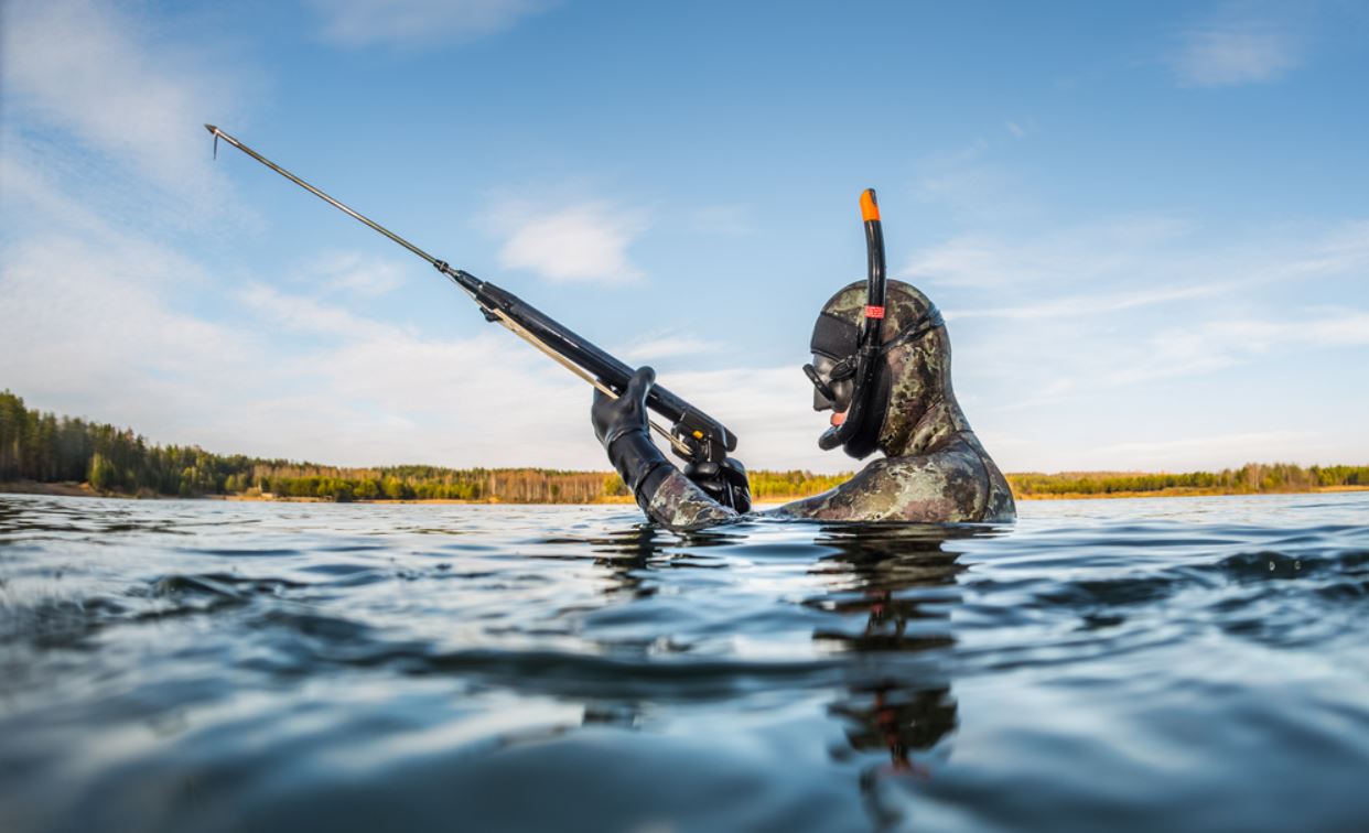 spearfishing for beginners