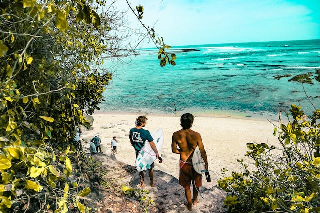 Surf's Up: A Beginner's Guide to Riding the Waves