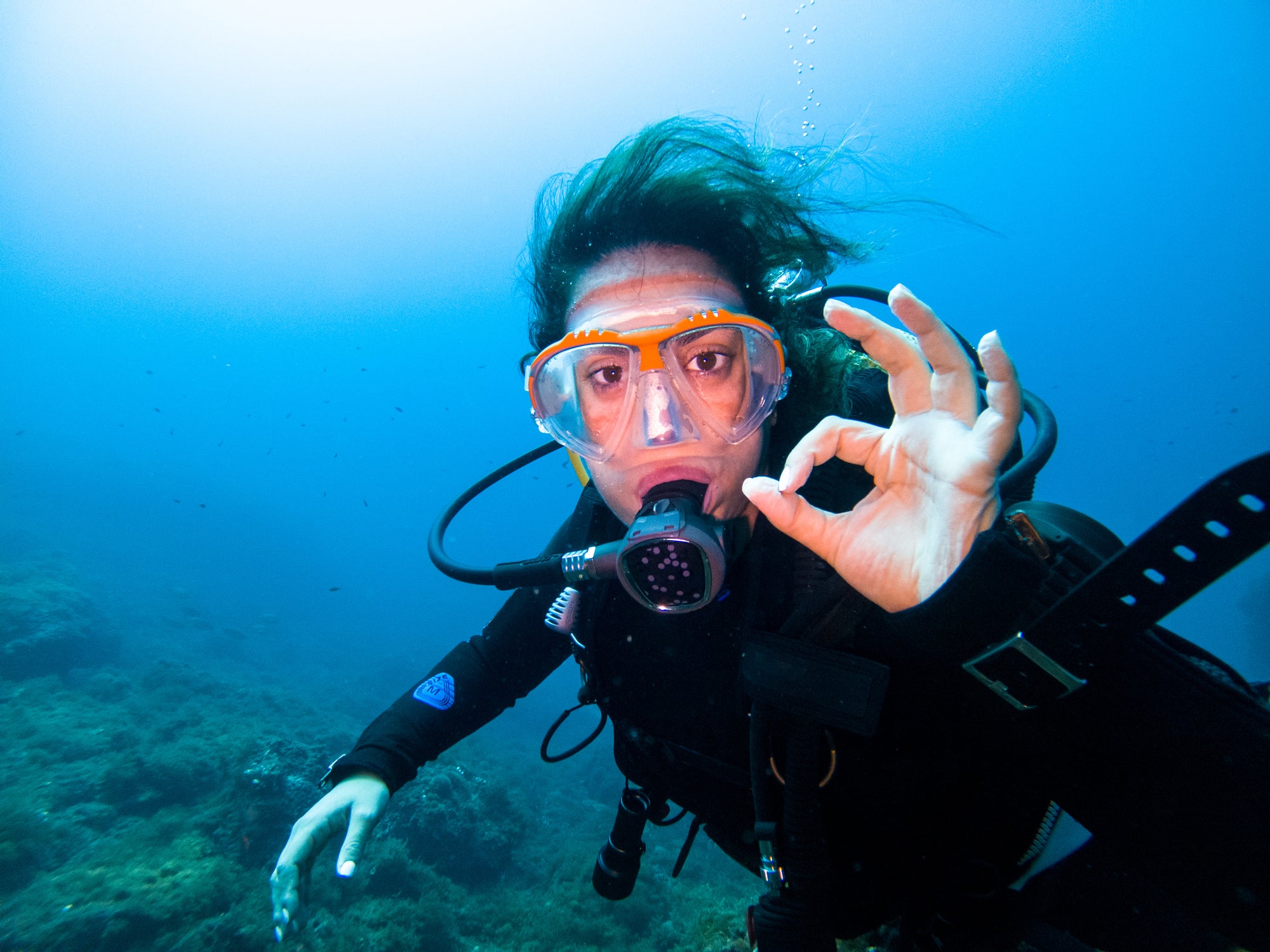 most important dive equipment for scuba diving