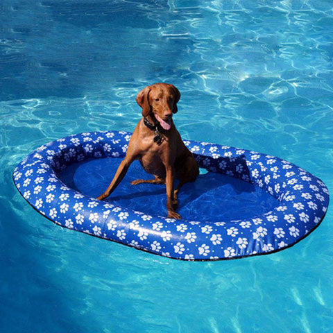 Cheap Dog Floaties For Sale (Pool / Ocean / River)