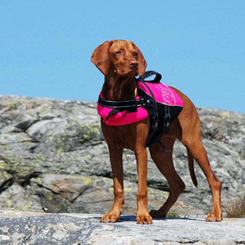 Outward Hound Granby Splash SWIMMING VEST FOR DOGS - medium, new - general  for sale - by owner - craigslist
