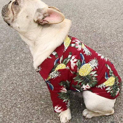 LEGENDOG Dog T Shirt  -  Cheap Surf Gear