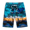 1701 blue / M TAILOR PAL LOVE Beach Shorts Men  -  Cheap Surf Gear