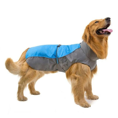 blue / S TAILUP Dog Vest  -  Cheap Surf Gear